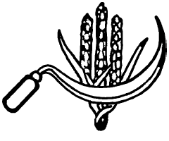 CPI symbol